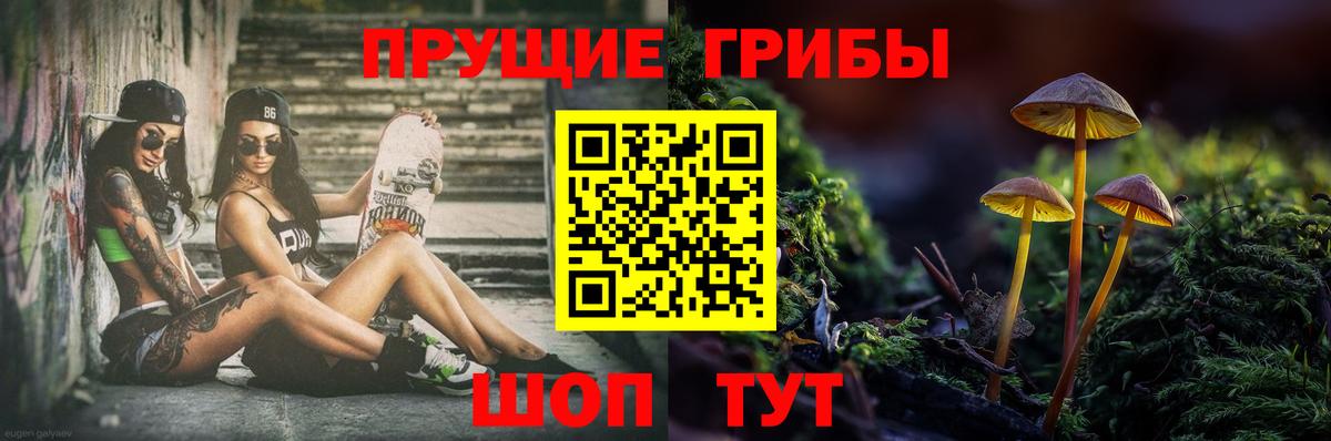 Галлюциногенные грибы прущие грибы Острогожск