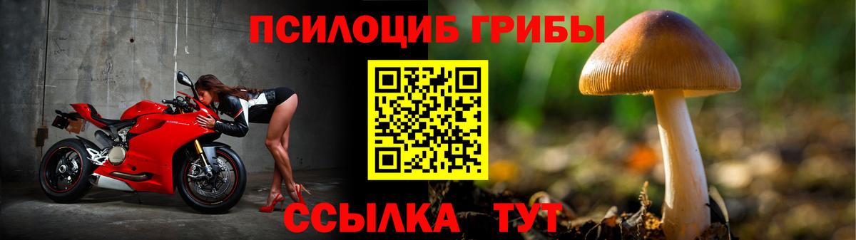 Острогожск  Псилоцибиновые грибы Psilocybine cubensis  Псилоцибиновые грибы GOLDEN TEACHER  Вход с VPN 